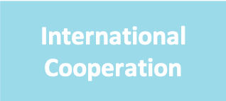 international cooperation