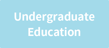 undergraduate education
