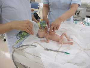 新生児蘇生法Bコース取得の画像