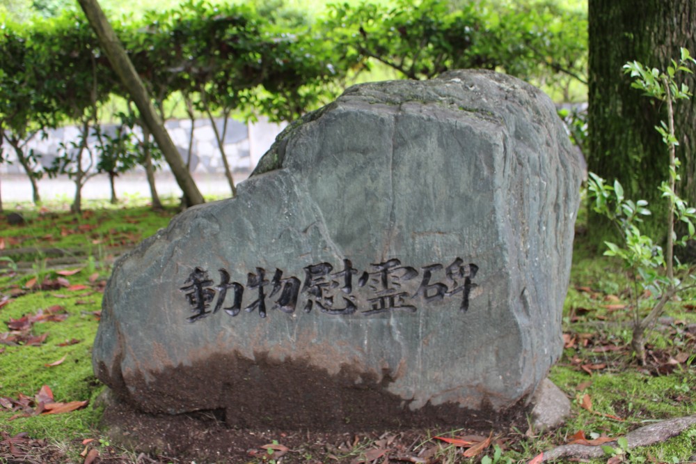 平成28年度動物慰霊祭の画像1