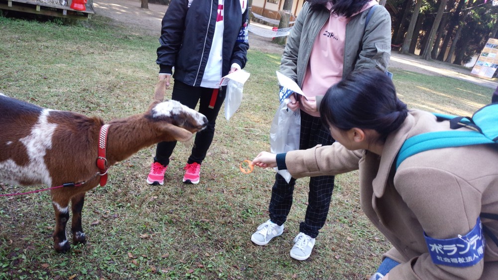 第41回 収穫祭 久住キンダーフェストの画像2