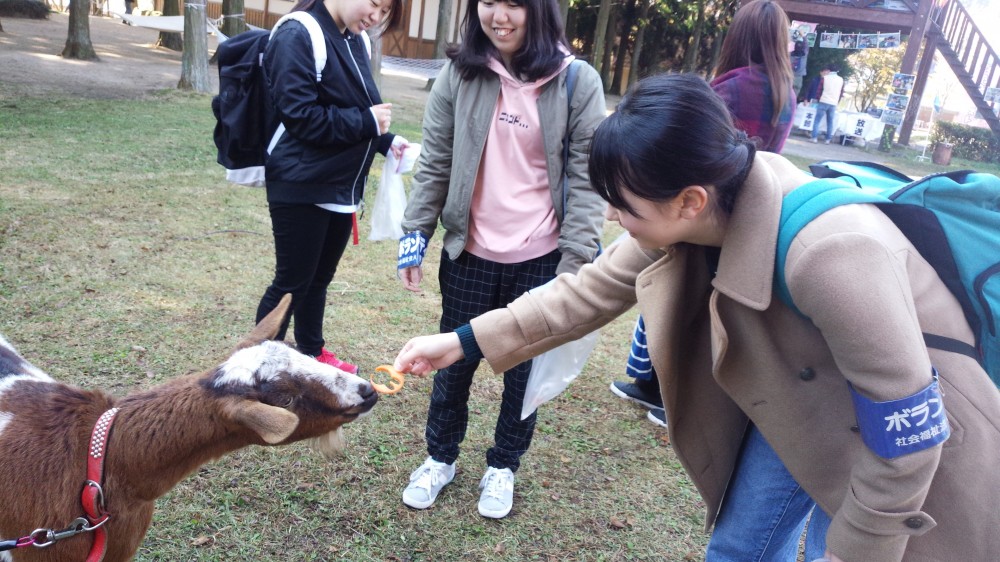 第41回 収穫祭 久住キンダーフェストの画像3