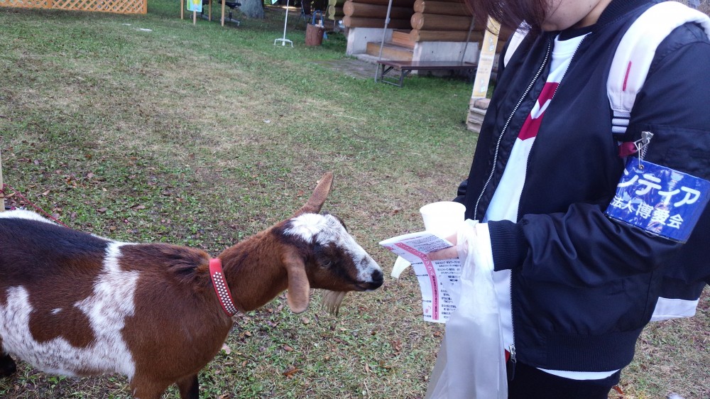 第41回 収穫祭 久住キンダーフェストの画像4