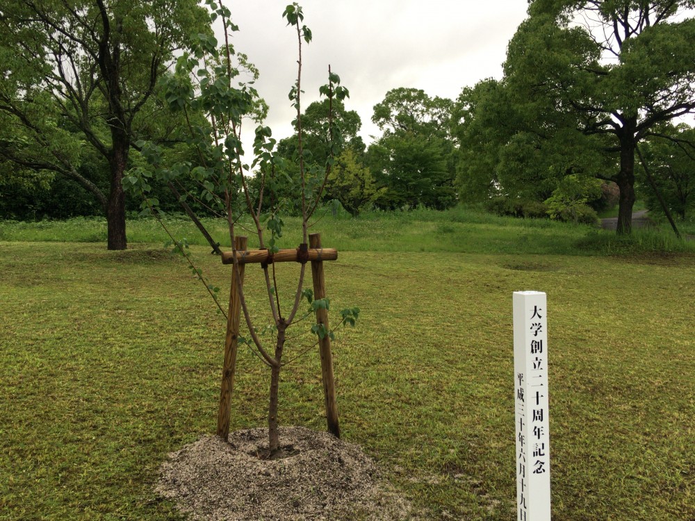大学創立20周年記念植樹式の画像4