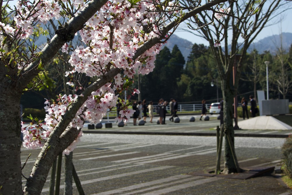 2019年度入学式の画像1