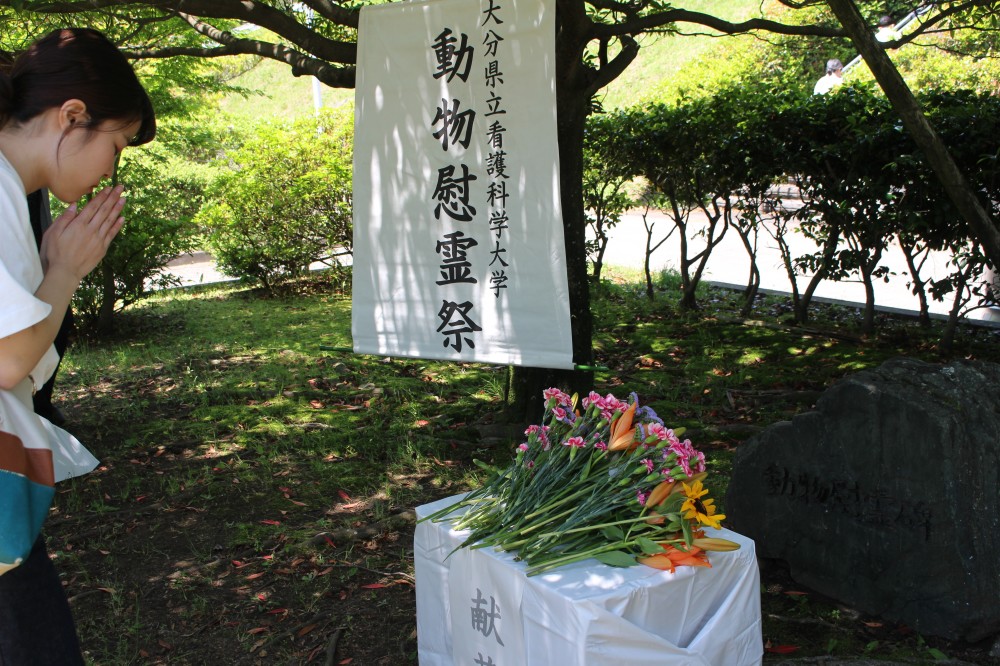 動物慰霊祭の画像3