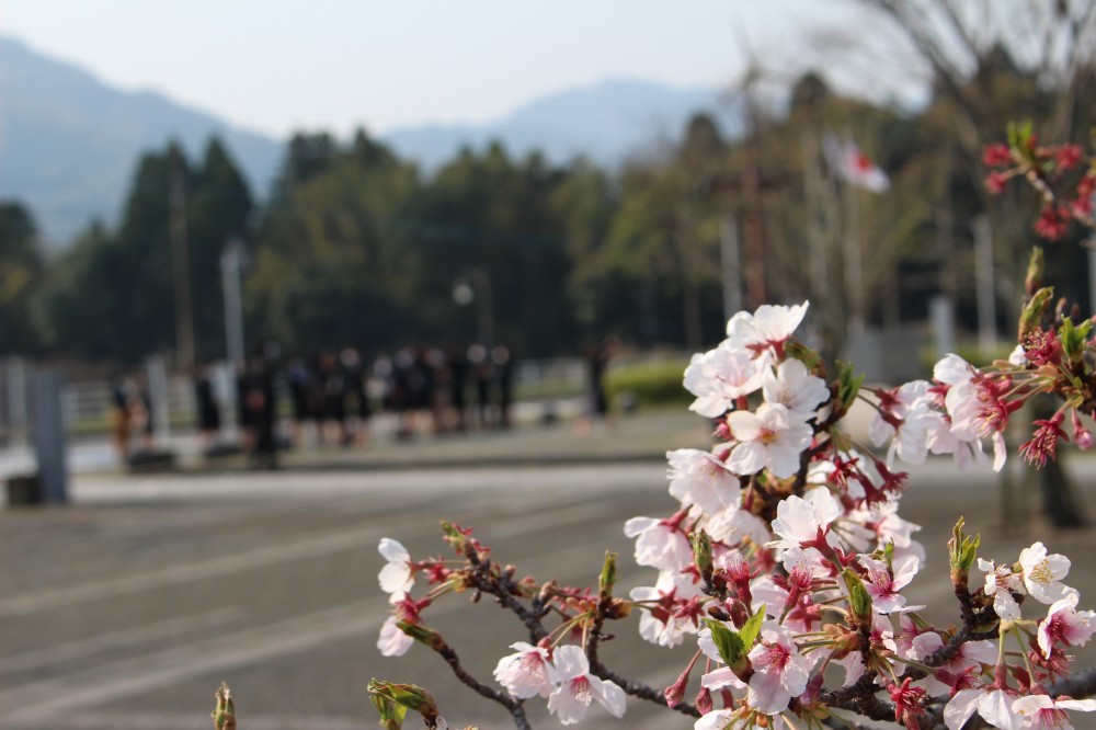 2020年度入学式の画像1