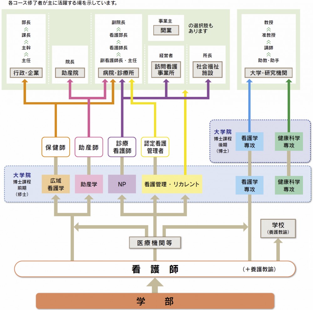 大分県立看護科学大学キャリアパスイメージの画像