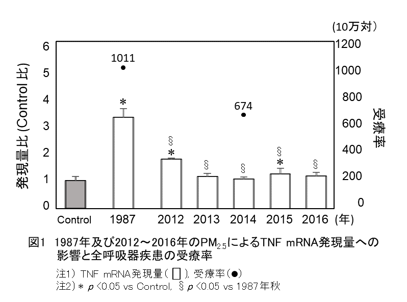 結果・考察の画像