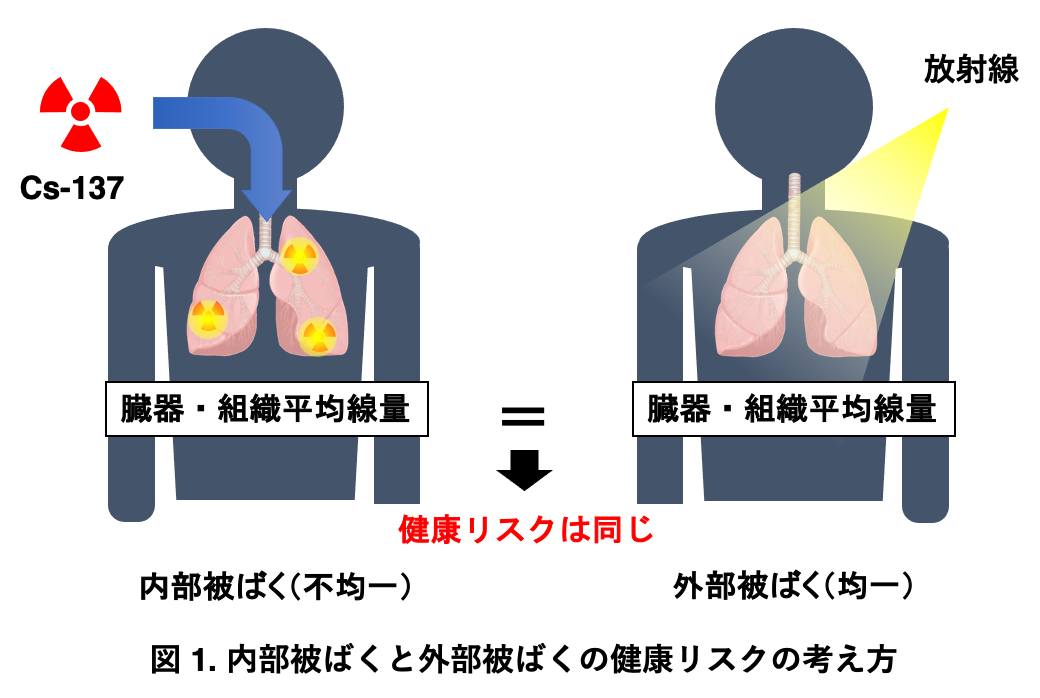 内部被ばくと外部被ばく