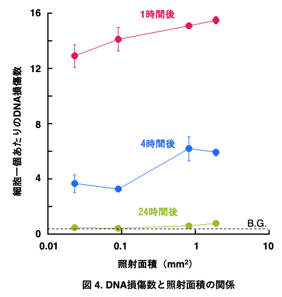 面積効果の結果