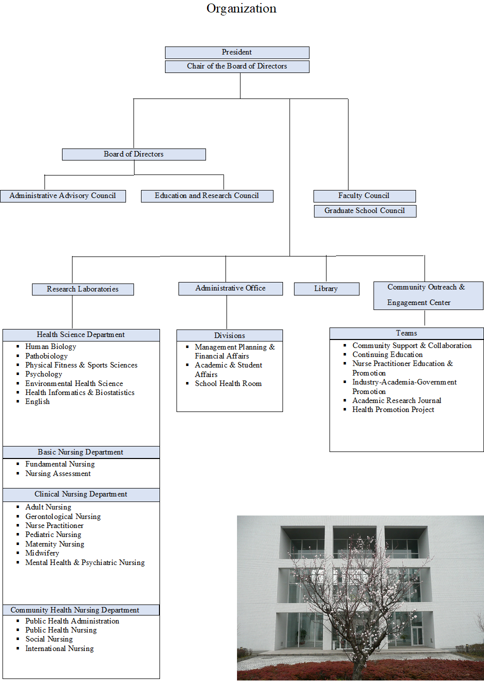 organization