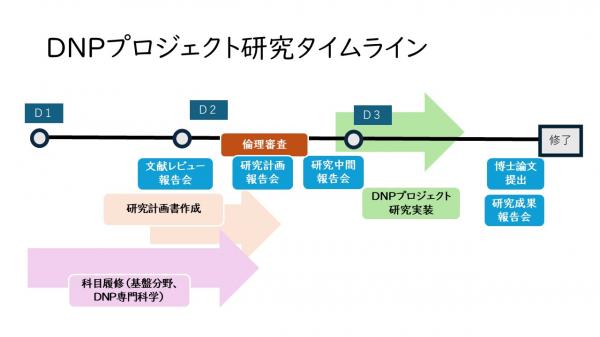 DNPプロジェクト研究タイムライン