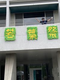 若葉祭1
